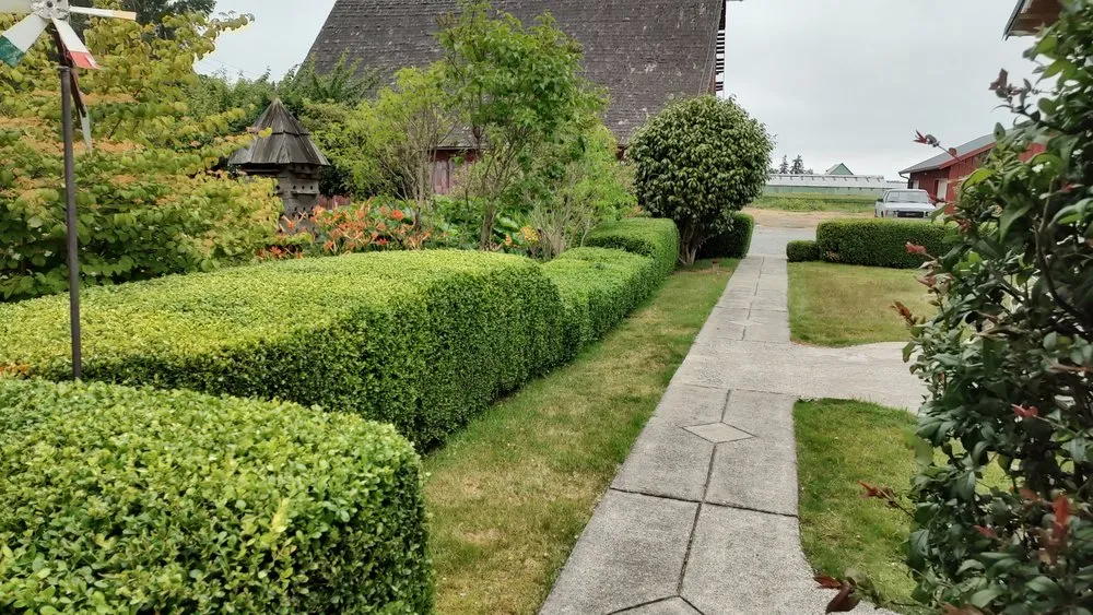 Professional yard maintenance in La Conner, WA - Callahan Professional Services