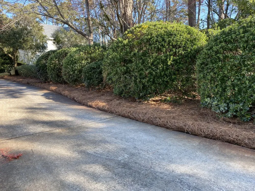 Expert garden landscaping in Manteo, NC - Callahan's Landscape Management