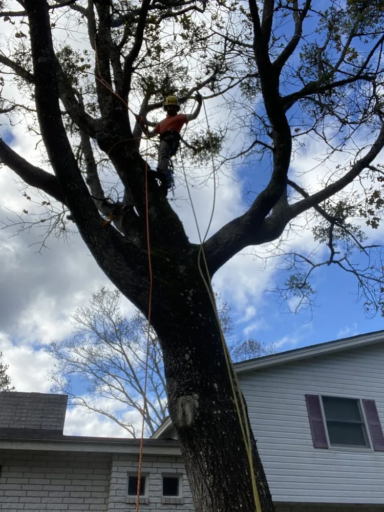 Professional residential landscaping in Manteo, NC by Callahan's Landscape Management