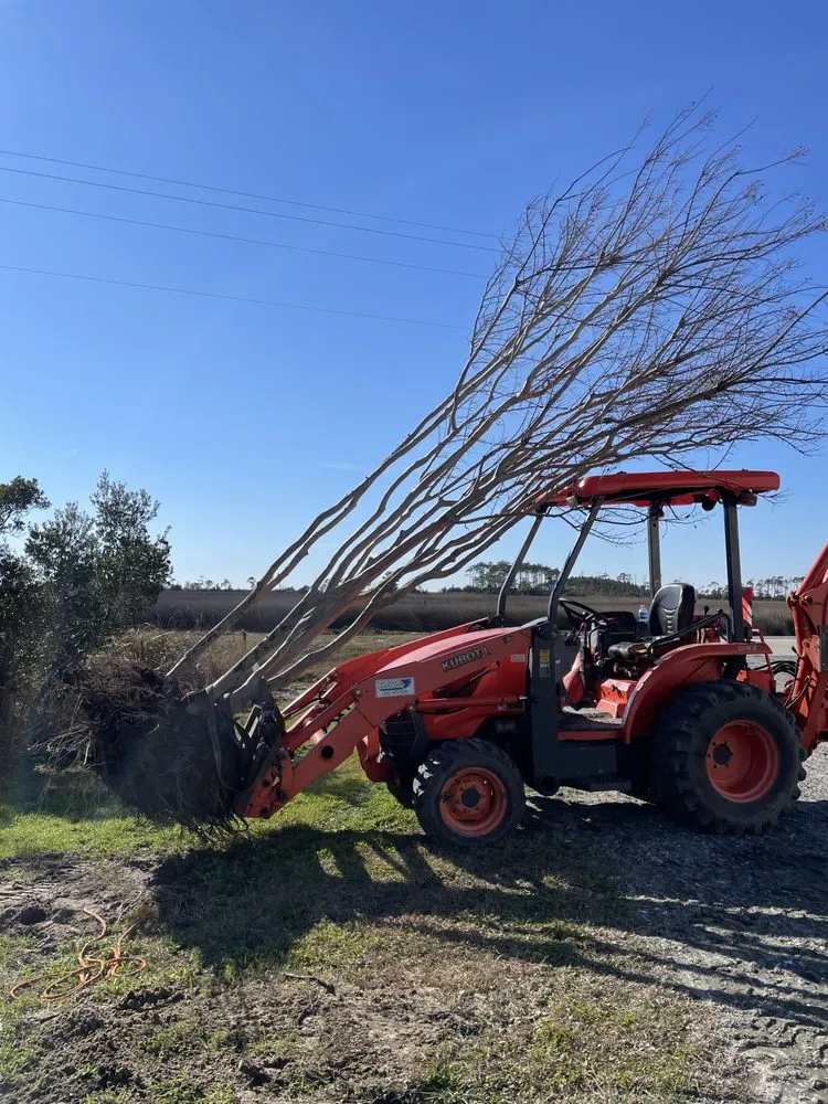 Professional landscape design in Manteo, NC - Callahan's Landscape Management