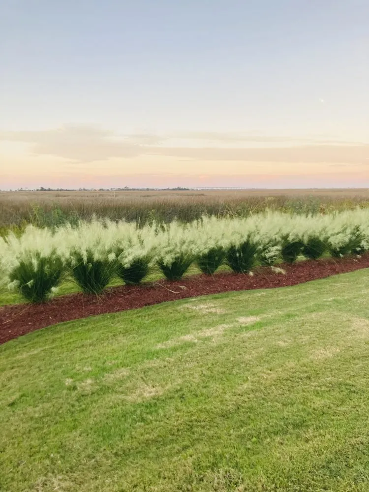 Custom yard cleanup service for year-round maintenance in Manteo, NC by Callahan's Landscape Management
