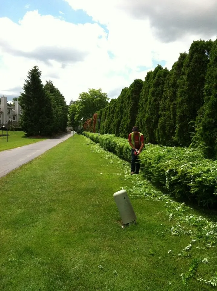 Affordable lawn care service in Rochester, NY - Callahan's Lawn Care and Property Maintenance