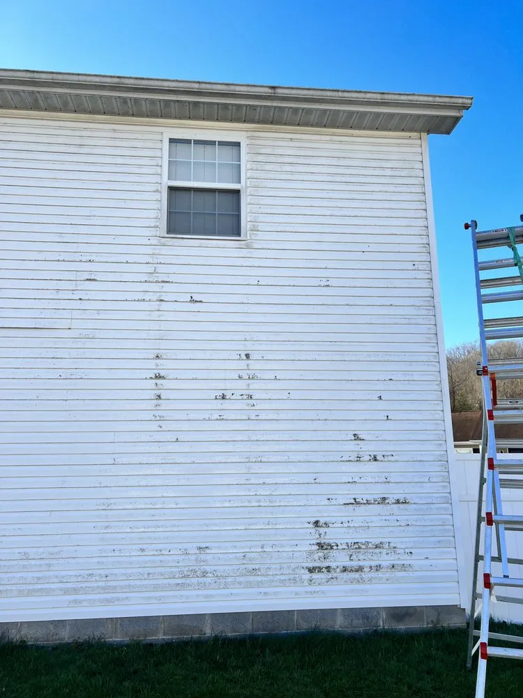 Expert yard cleanup service in Saint Albans, WV by Callinan Pressure Washing & Lawn care