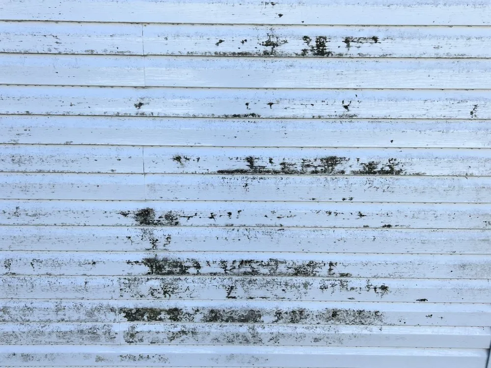 Top-rated lawn care service in Saint Albans, WV - Callinan Pressure Washing & Lawn care