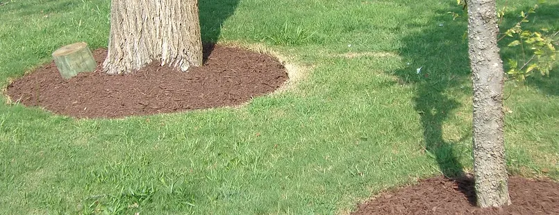 Affordable lawn mowing service near you across Hampton, VA - Calloways Landscaping