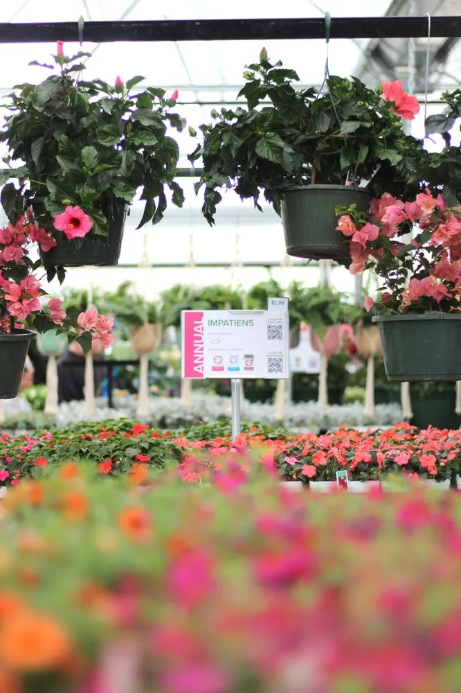 Top-rated garden landscaping in Prosper, TX - Calloway’s Nursery