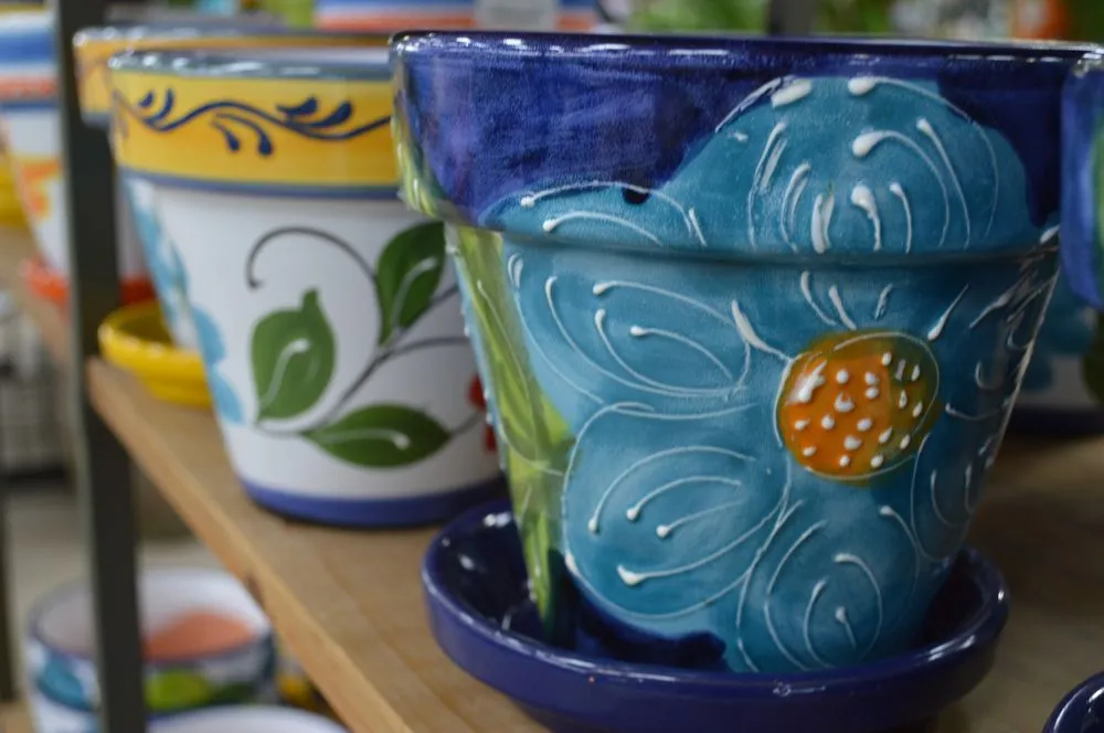 Expert landscape design for outdoor upgrades in Prosper, TX by Calloway’s Nursery