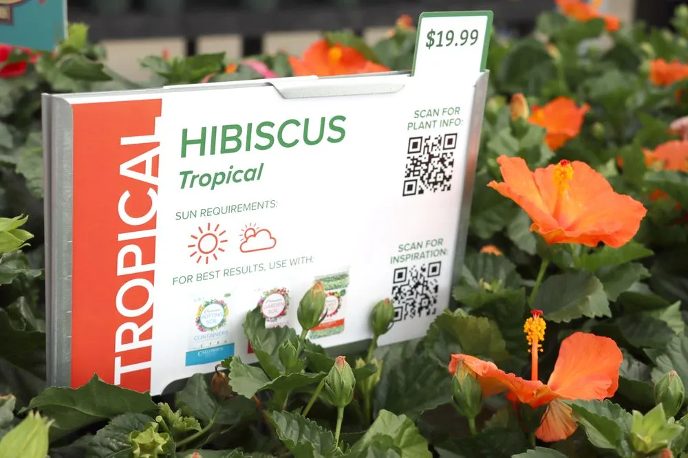 Professional lawn mowing service for outdoor upgrades across Prosper, TX - Calloway’s Nursery