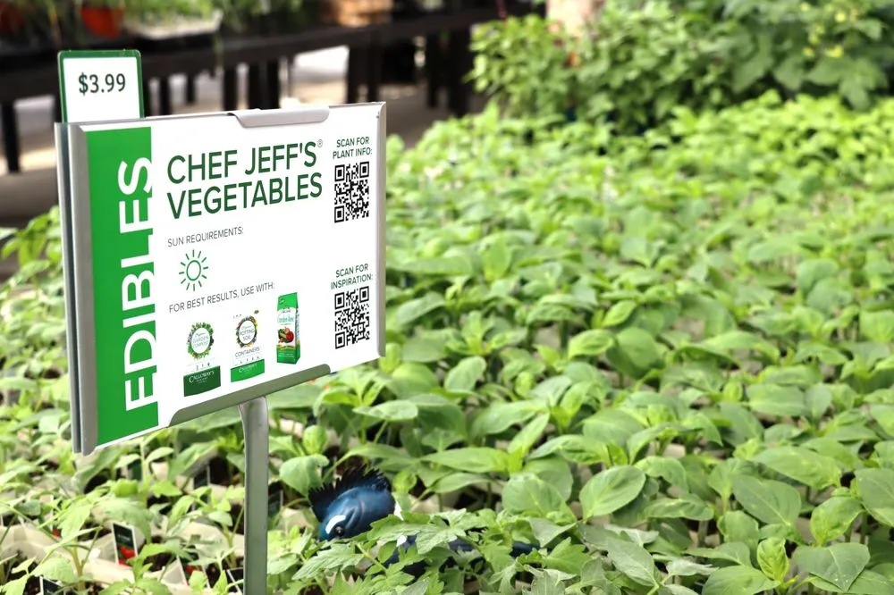 Expert landscaping services experts serving Prosper, TX - Calloway’s Nursery