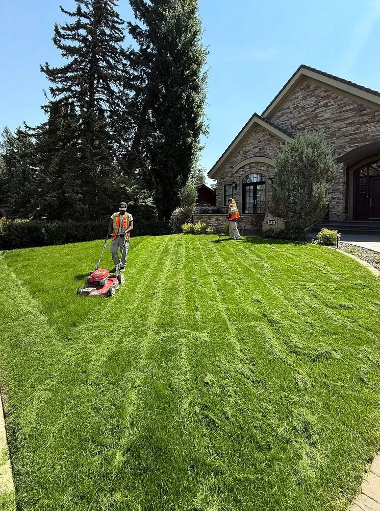 Top-rated landscaping services in Philadelphia, PA - Callowhill Lawn Care