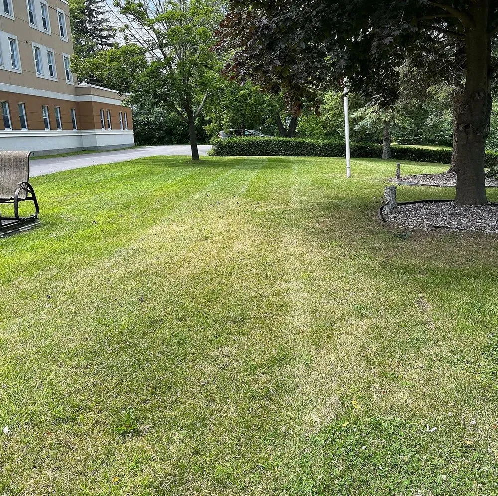 Custom yard cleanup service in Philadelphia, PA - Callowhill Lawn Care