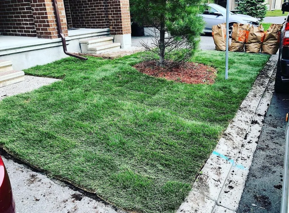 Reliable outdoor landscaping in Philadelphia, PA by Callowhill Lawn Care