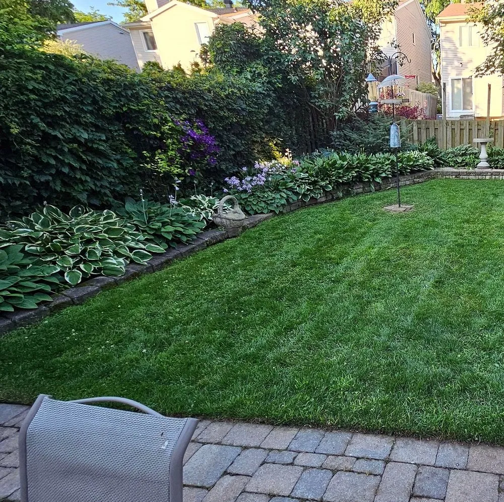 Trusted yard cleanup service experts serving Philadelphia, PA - Callowhill Lawn Care