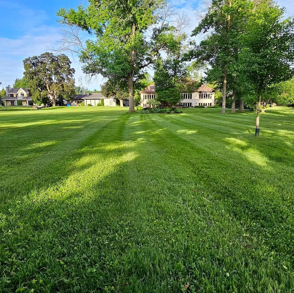 Professional yard maintenance in Philadelphia, PA - Callowhill Lawn Care