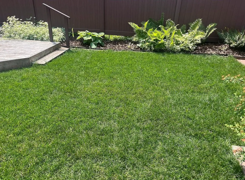 Affordable outdoor landscaping in Philadelphia, PA by Callowhill Lawn Care