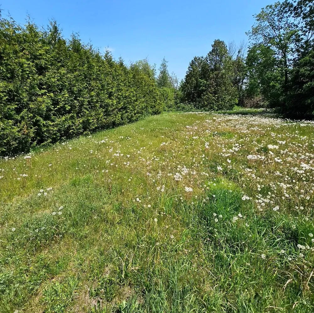 Trusted lawn mowing service in Philadelphia, PA by Callowhill Lawn Care