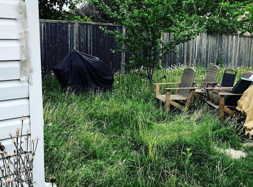 Custom landscape installation in Philadelphia, PA - Callowhill Lawn Care