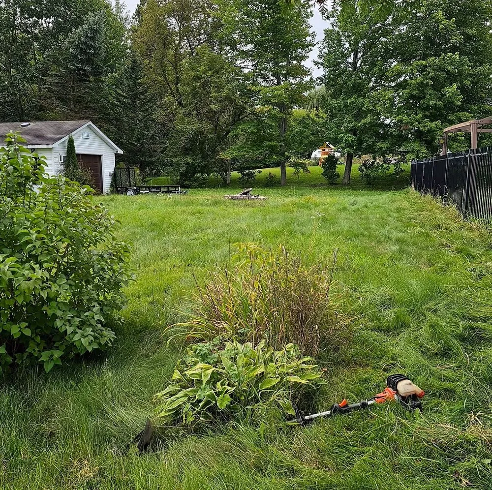 Trusted lawn care service for residential properties in Philadelphia, PA by Callowhill Lawn Care