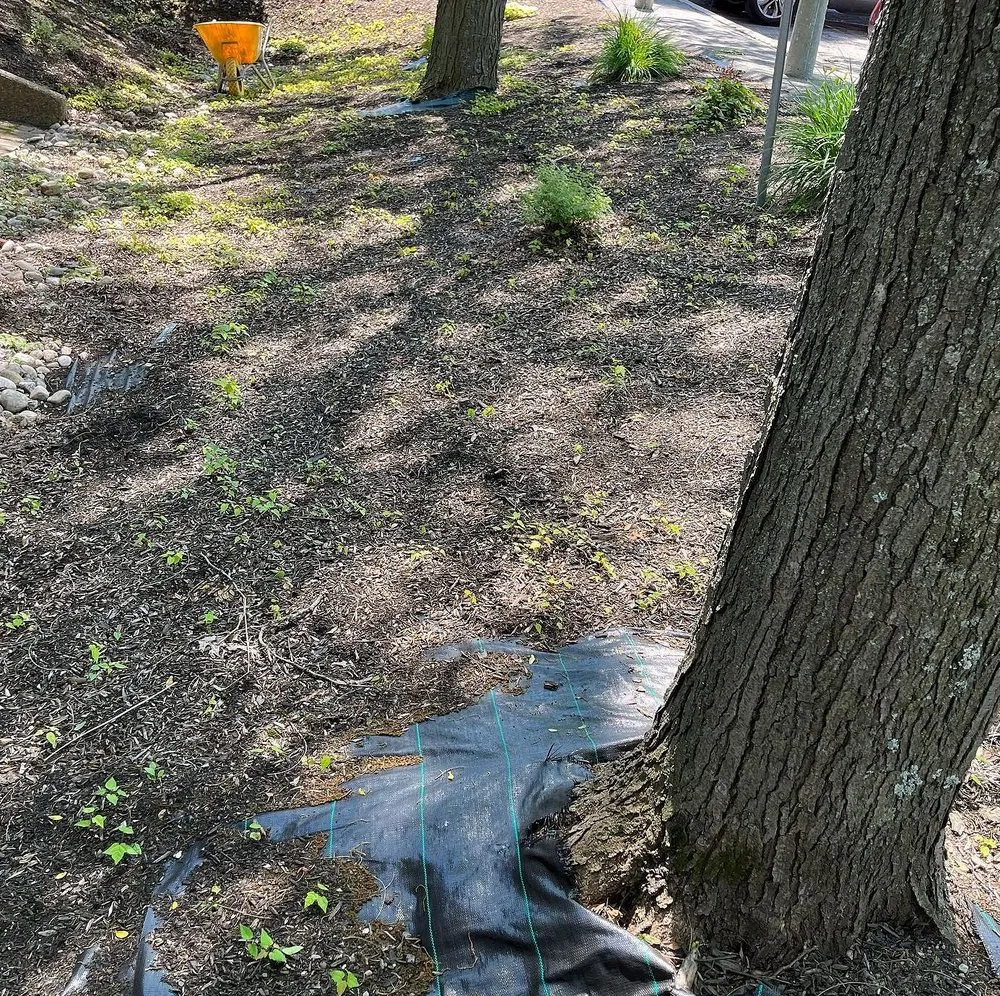 Top-rated outdoor landscaping in Philadelphia, PA - Callowhill Lawn Care