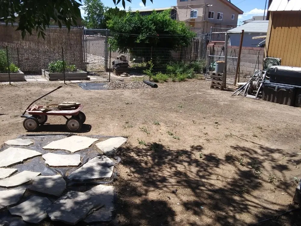 Reliable lawn mowing service in Albuquerque, NM - Calm Cleaning and Landscape Maintenance