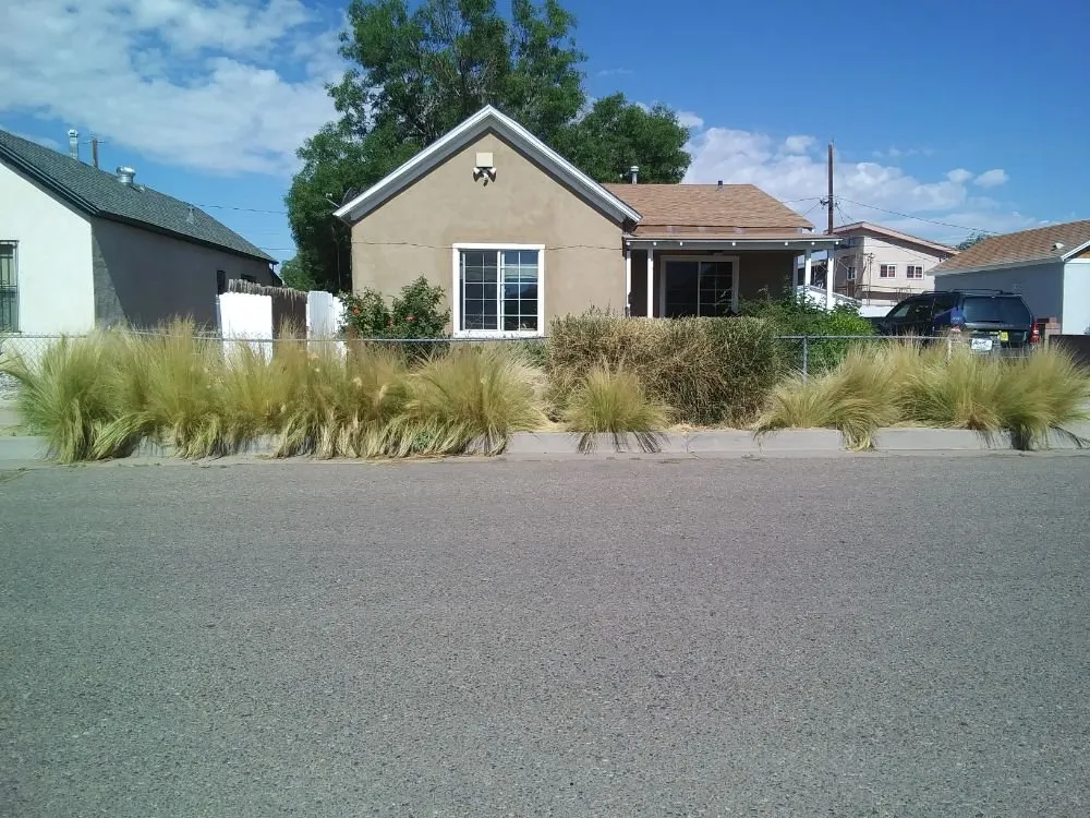 Reliable lawn mowing service in Albuquerque, NM - Calm Cleaning and Landscape Maintenance