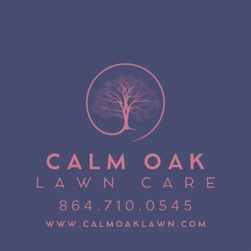 Reliable yard cleanup service for residential properties in Seneca, SC by Calm Oak Lawn Care