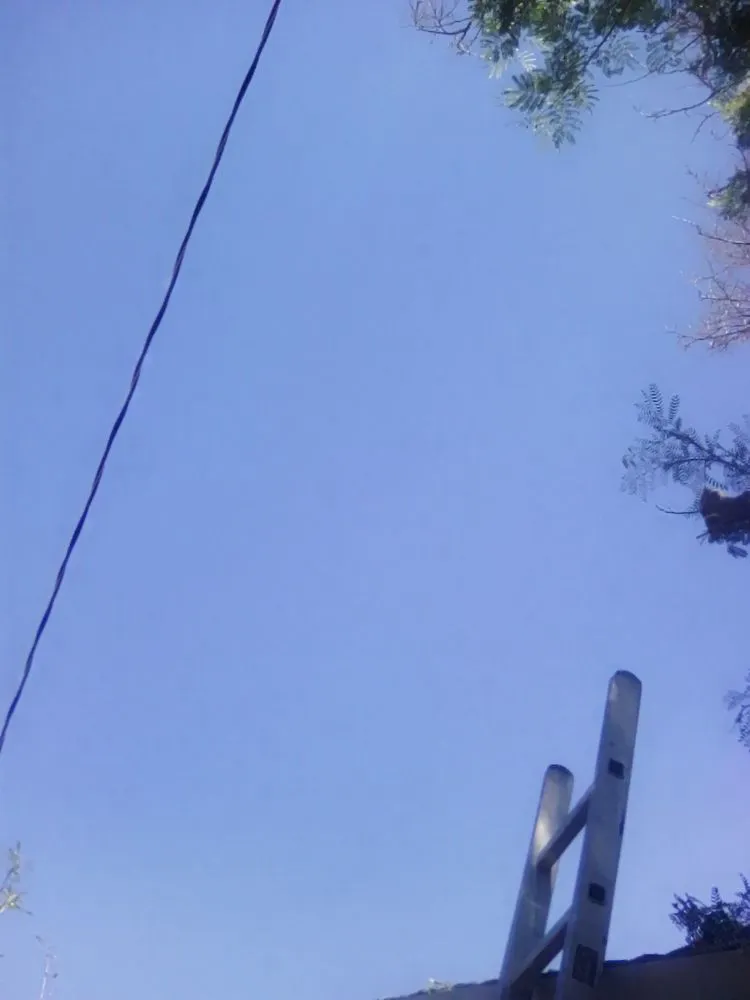 Professional lawn care service with custom design across Tucson, AZ - Calmese Landscaping