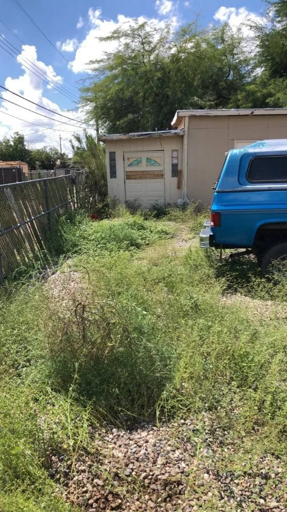 Trusted yard cleanup service experts serving Tucson, AZ - Calmese Landscaping