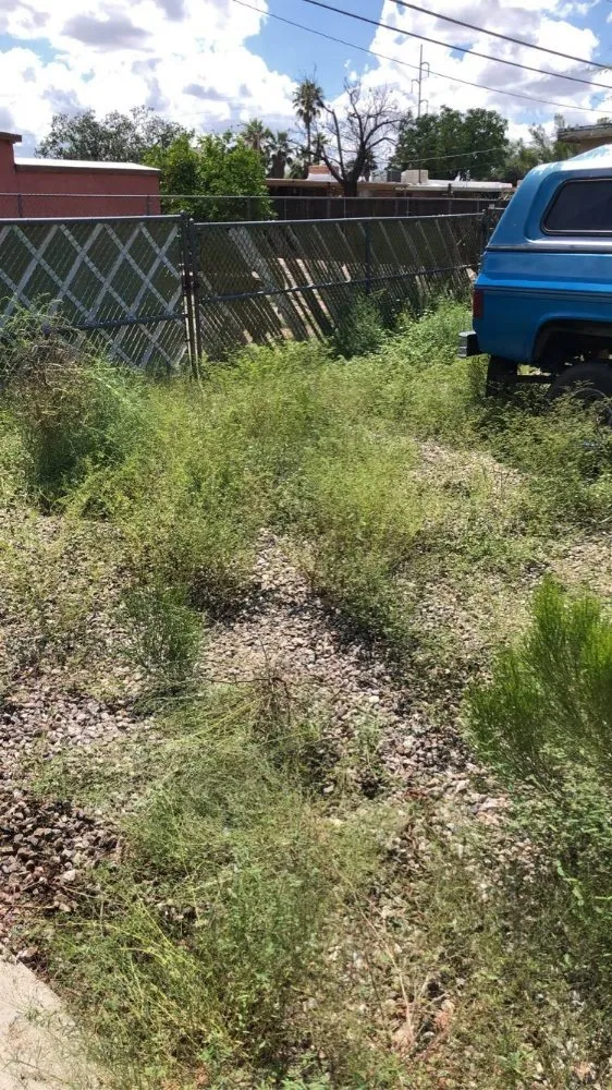 Custom landscape installation experts serving Tucson, AZ - Calmese Landscaping