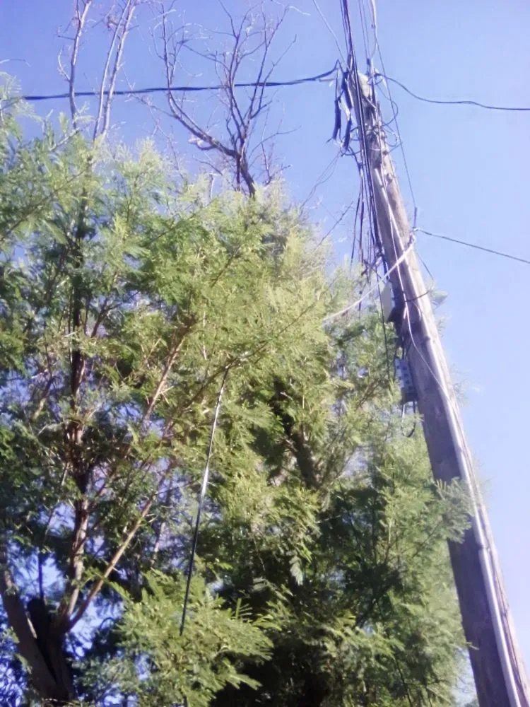 Reliable landscaping services in Tucson, AZ - Calmese Landscaping