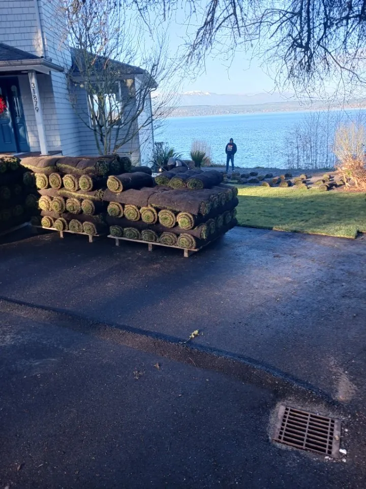 Custom lawn care service experts serving Bremerton, WA - Calmo Landscaping Services