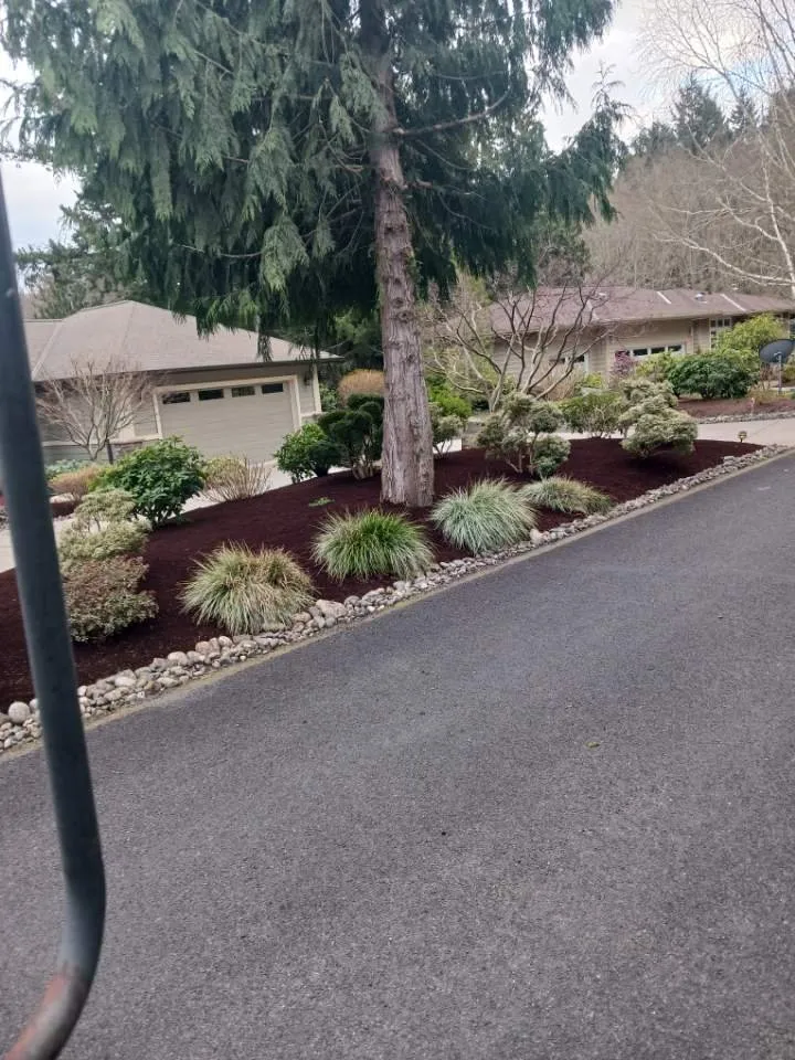 Trusted lawn care service for residential properties in Bremerton, WA by Calmo Landscaping Services