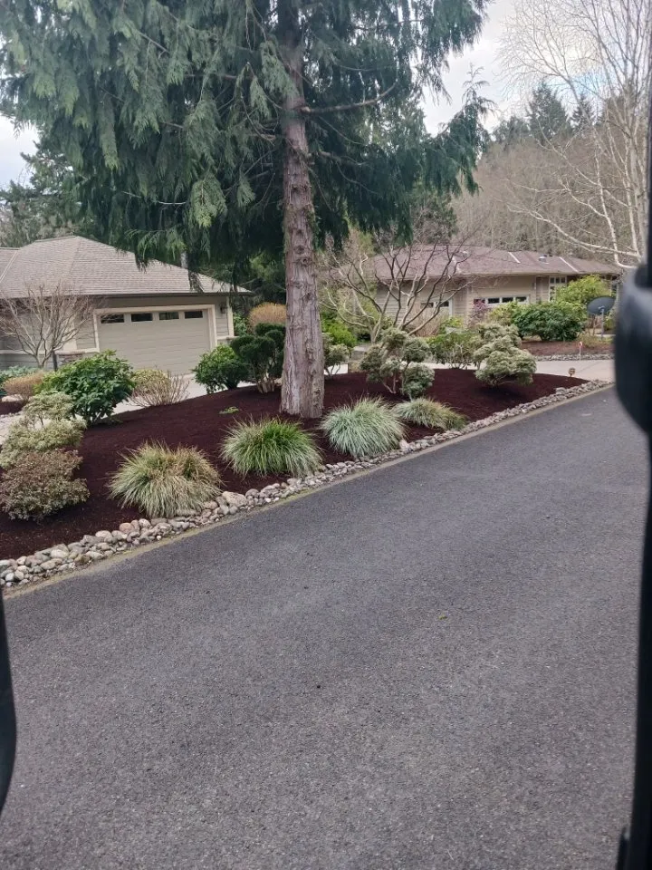 Trusted yard maintenance in Bremerton, WA by Calmo Landscaping Services