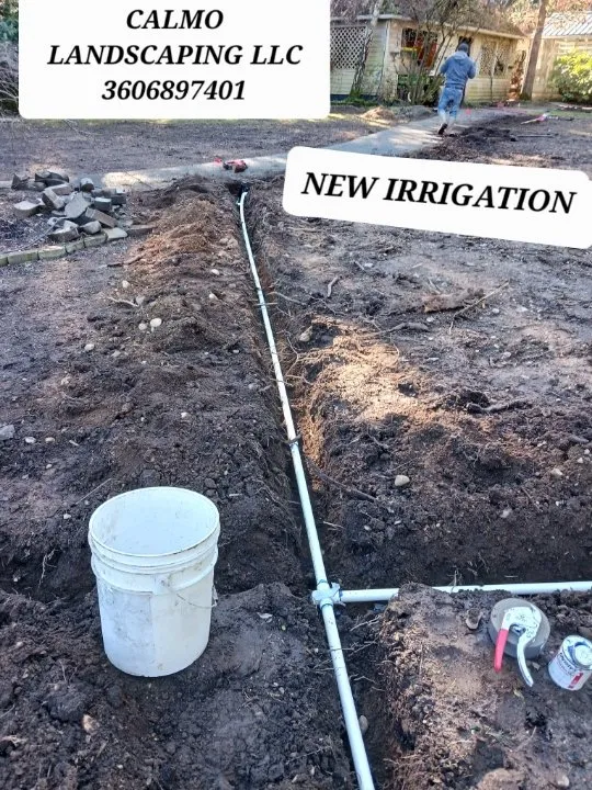 Local landscape design for beautiful yards in Bremerton, WA by Calmo Landscaping Services