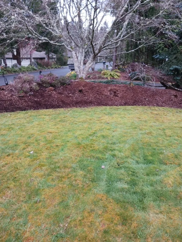 Local landscaping services for homes across Bremerton, WA - Calmo Landscaping Services