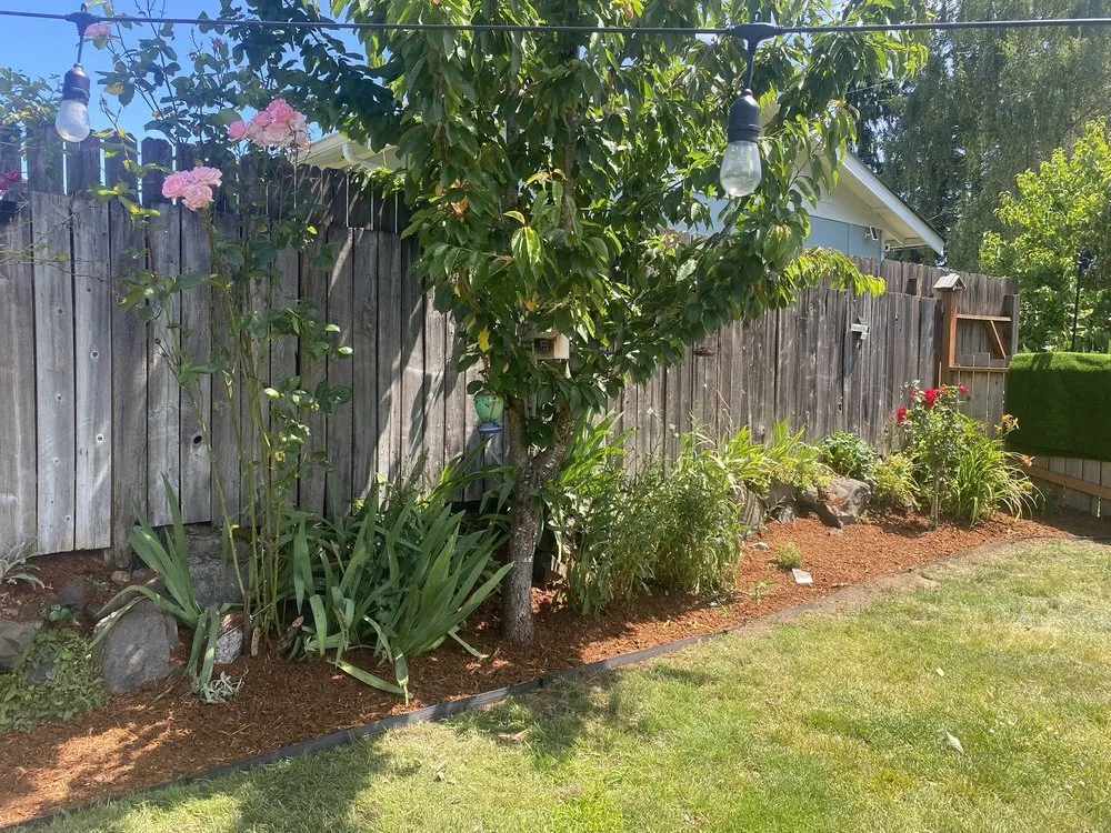 Top-rated landscaping services in Shelton, WA - Calmo Landscaping