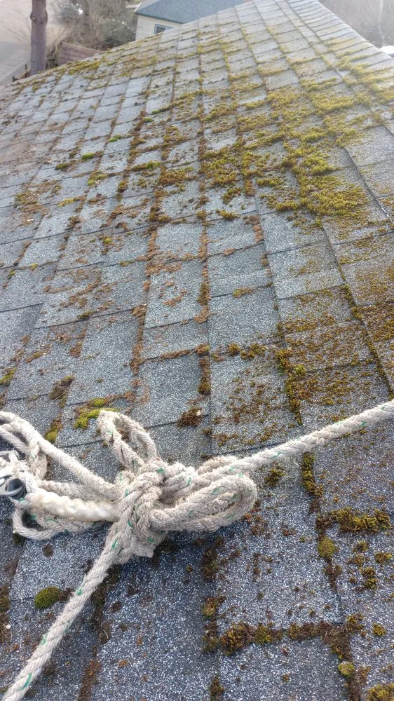 Trusted landscape design experts serving Shelton, WA - Calmo Landscaping