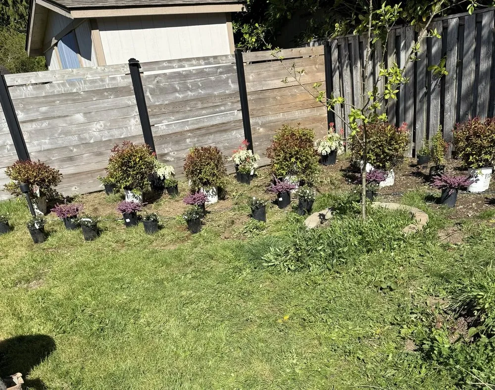 Trusted lawn care service experts serving Shelton, WA - Calmo Landscaping
