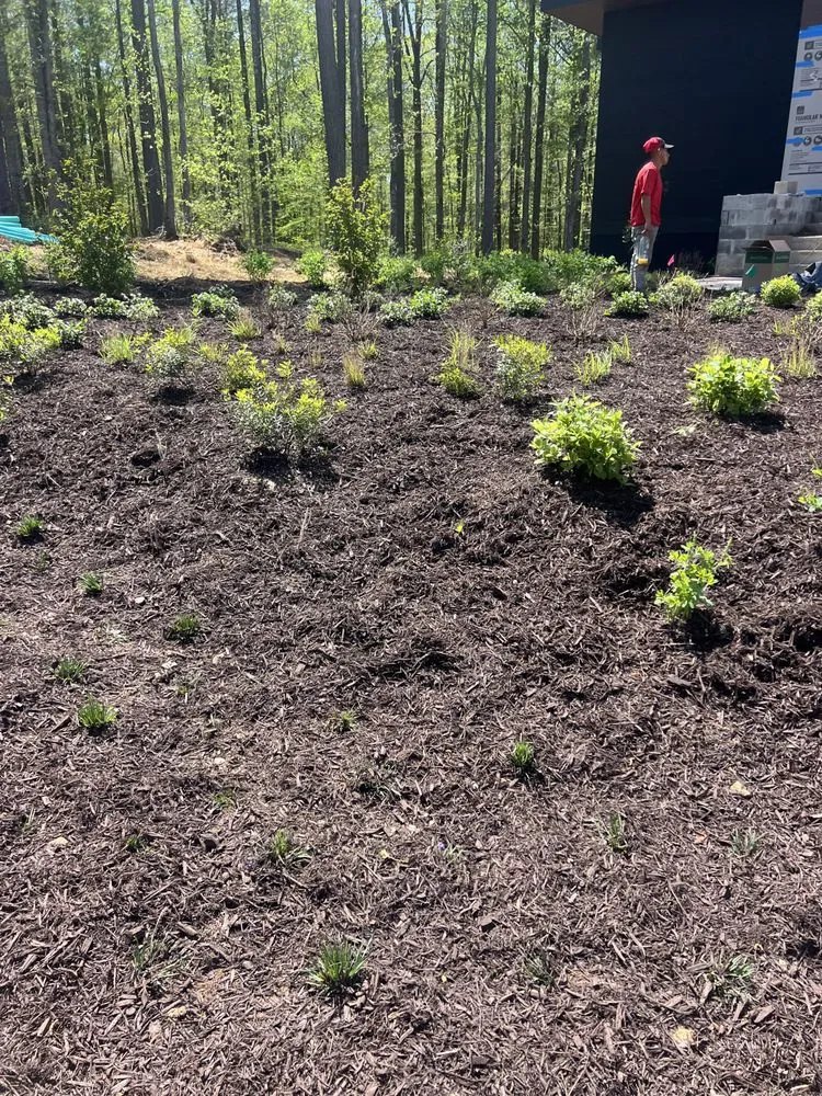 Custom landscaping services in Acworth, GA by Calmo solution landscape LLC