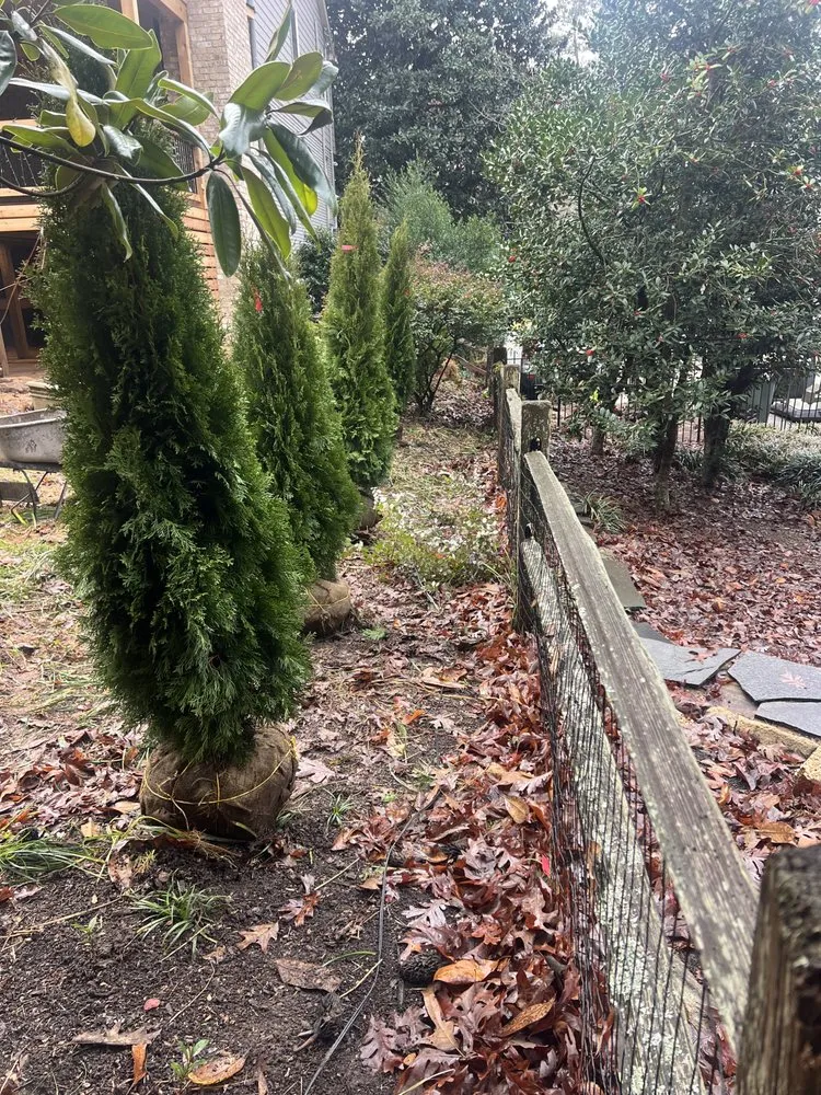 Professional residential landscaping for homes across Acworth, GA - Calmo solution landscape LLC