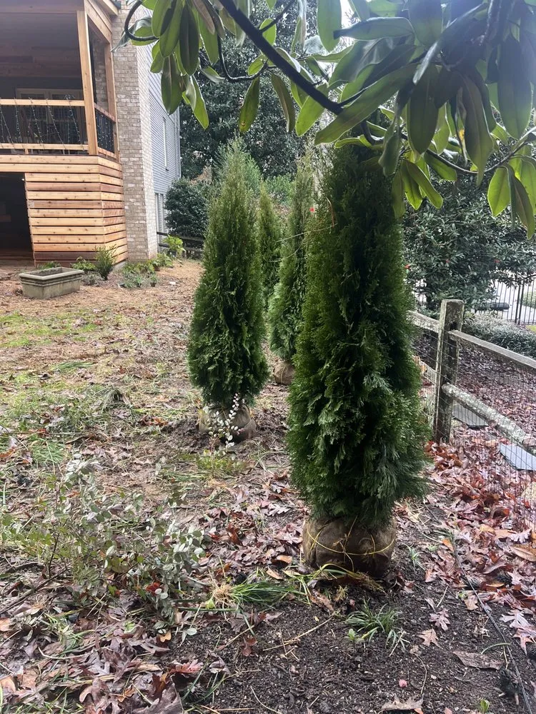 Reliable garden landscaping experts serving Acworth, GA - Calmo solution landscape LLC