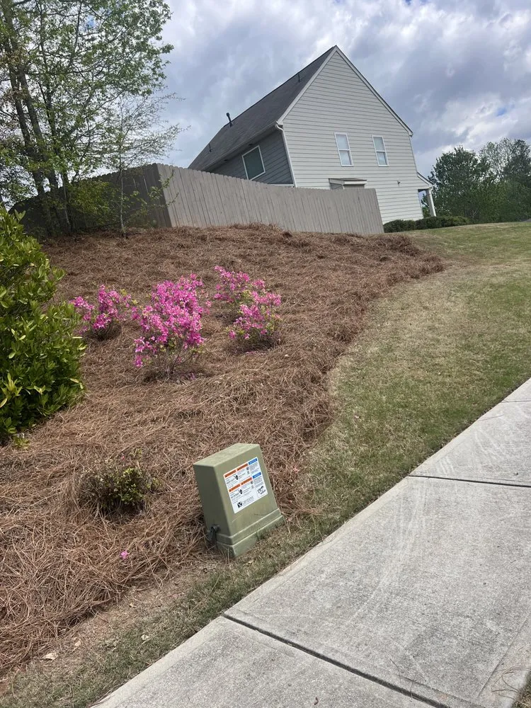 Expert landscape installation experts serving Acworth, GA - Calmo solution landscape LLC