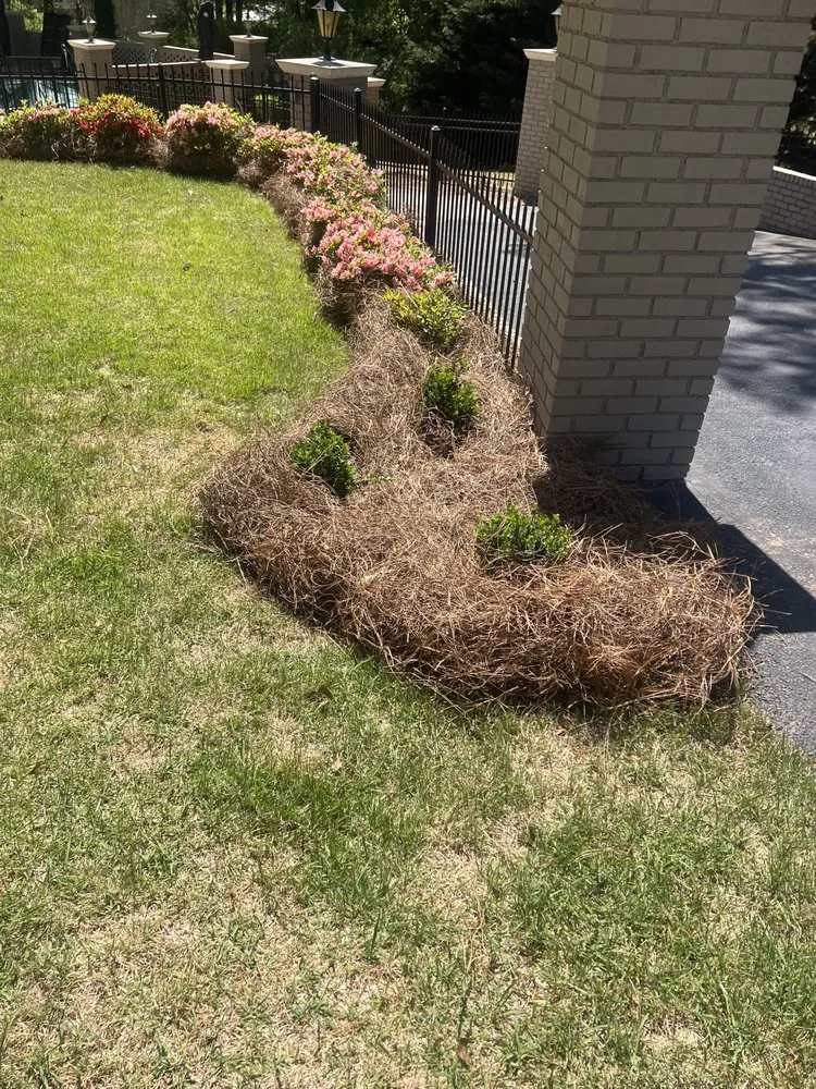 Top-rated residential landscaping with custom design across Acworth, GA - Calmo solution landscape LLC