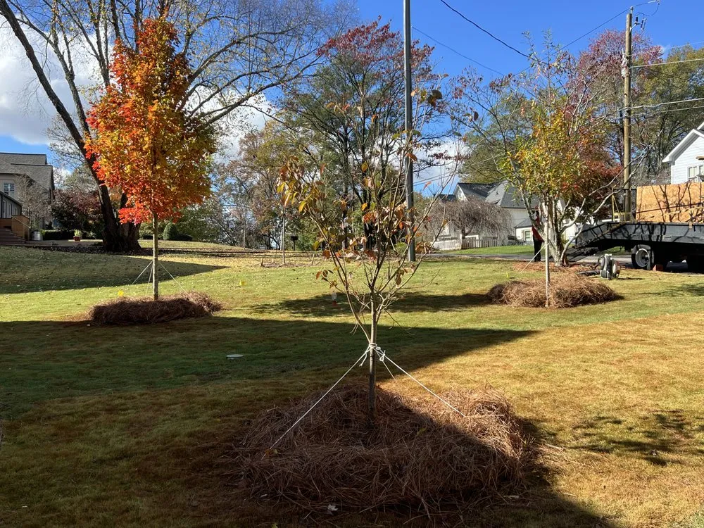 Reliable yard maintenance with custom design in Acworth, GA by Calmo solution landscape LLC