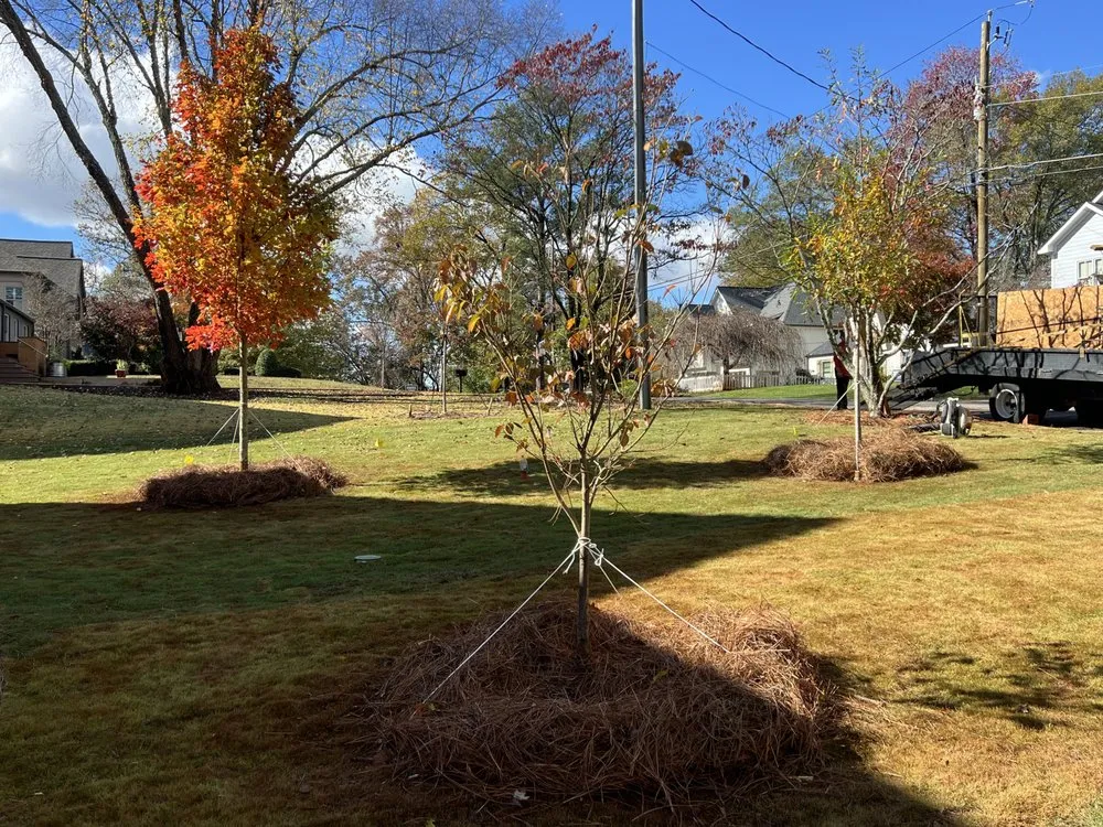 Custom lawn mowing service for year-round maintenance in Acworth, GA by Calmo solution landscape LLC