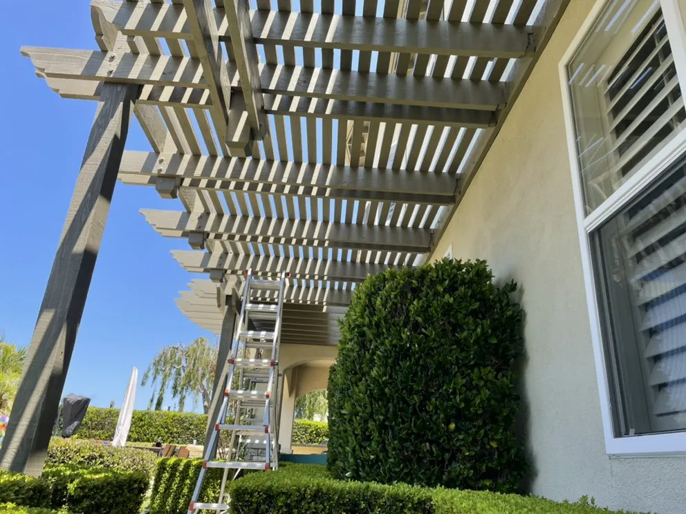 Affordable yard maintenance experts serving Encinitas, CA - Calmo’s Landscape