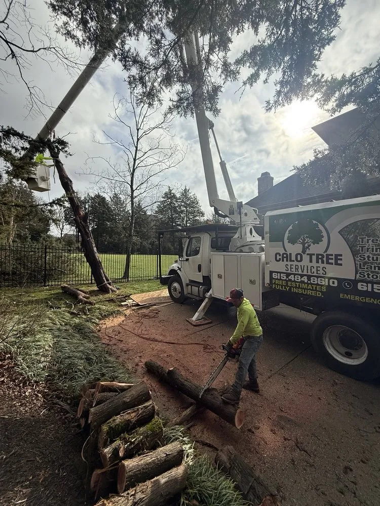 Top-rated landscaping services for outdoor upgrades in La Vergne, TN by Calo Tree Service