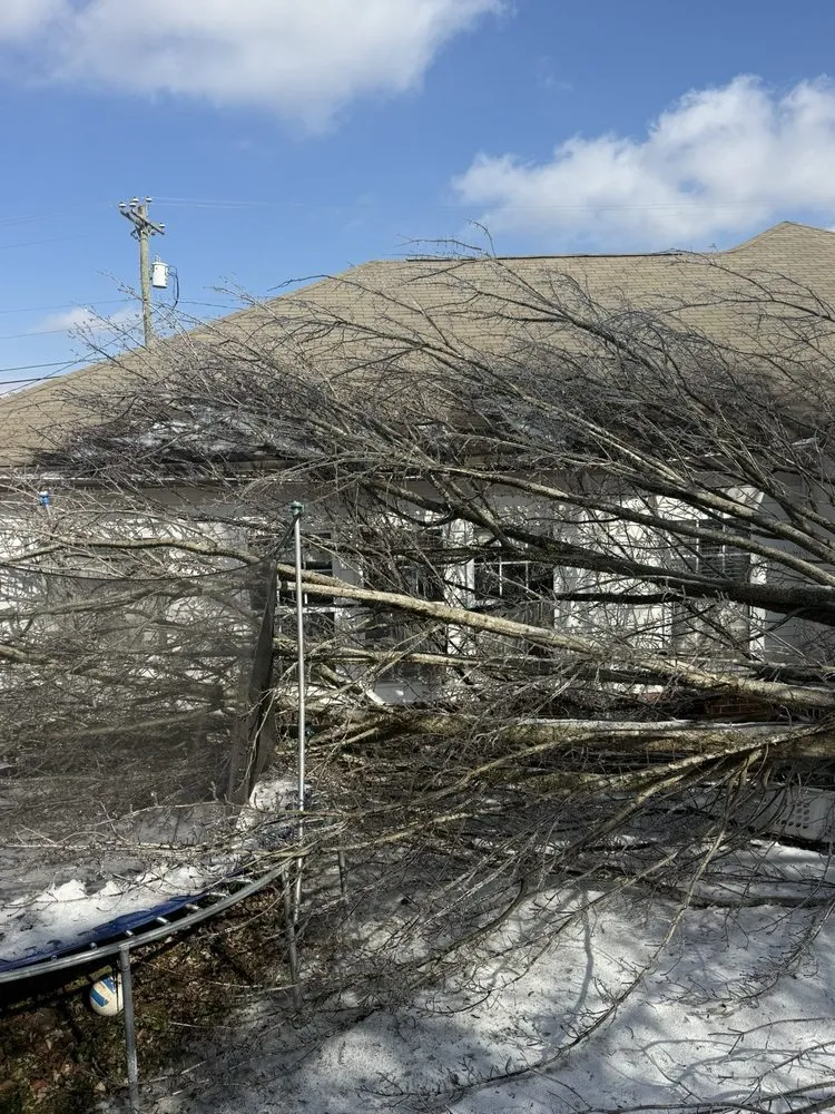 Custom garden landscaping for homes in La Vergne, TN by Calo Tree Service