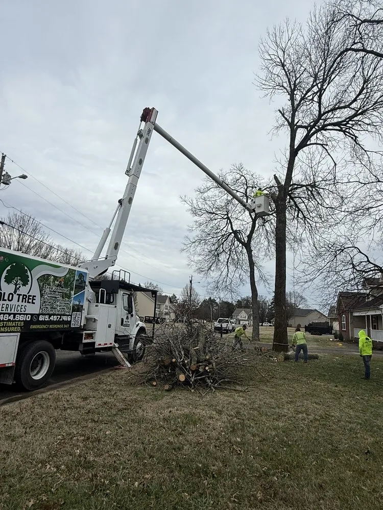 Affordable garden landscaping for outdoor upgrades across La Vergne, TN - Calo Tree Service