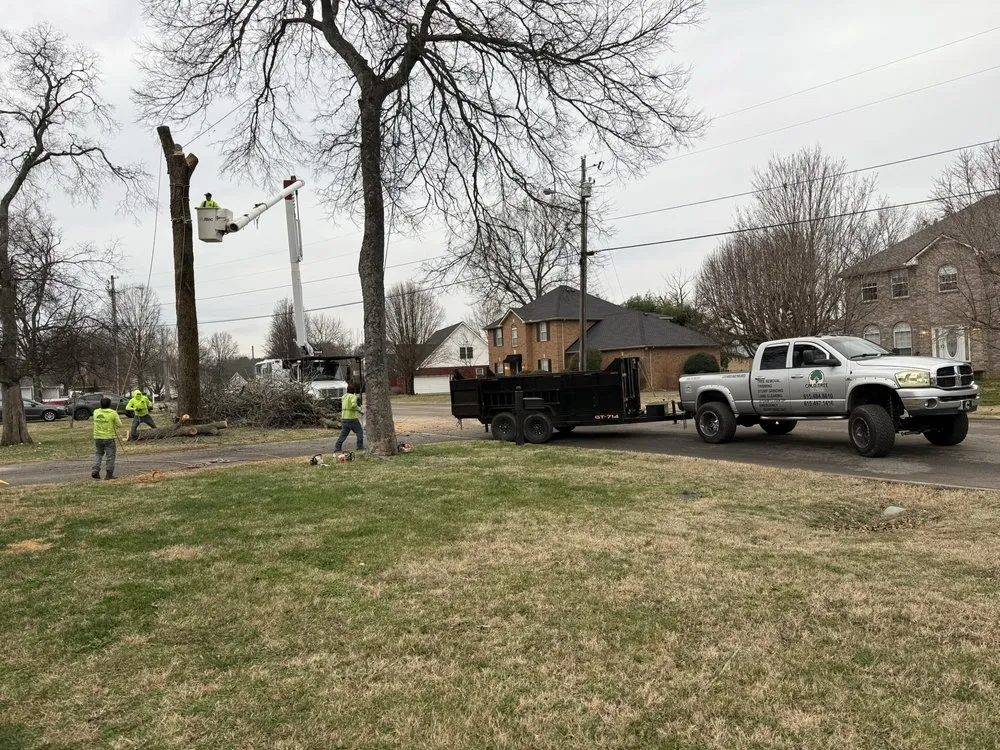 Professional lawn mowing service near you across La Vergne, TN - Calo Tree Service